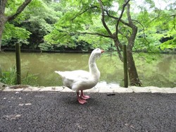 20160727-2.jpg