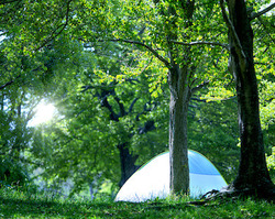 森のキャンプ_376.jpg