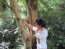 summer_wanpaku_20- - 7.jpg